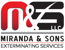 Miranda & Sons, LLC Sticky Logo